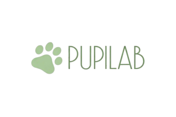 pupilab.pl